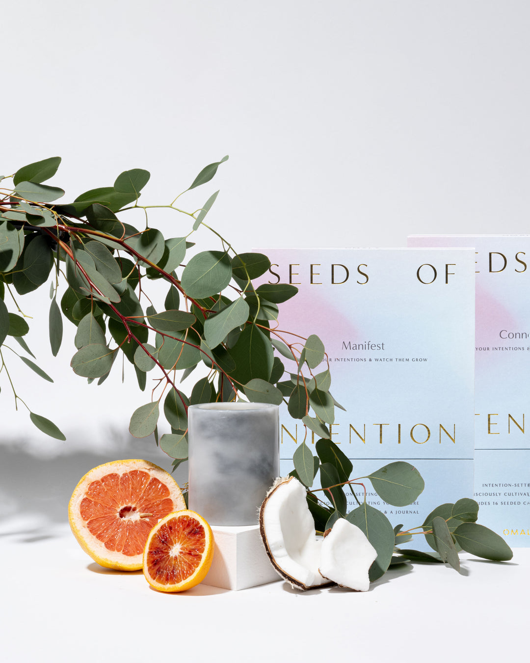 Connect & Nourish Bundle