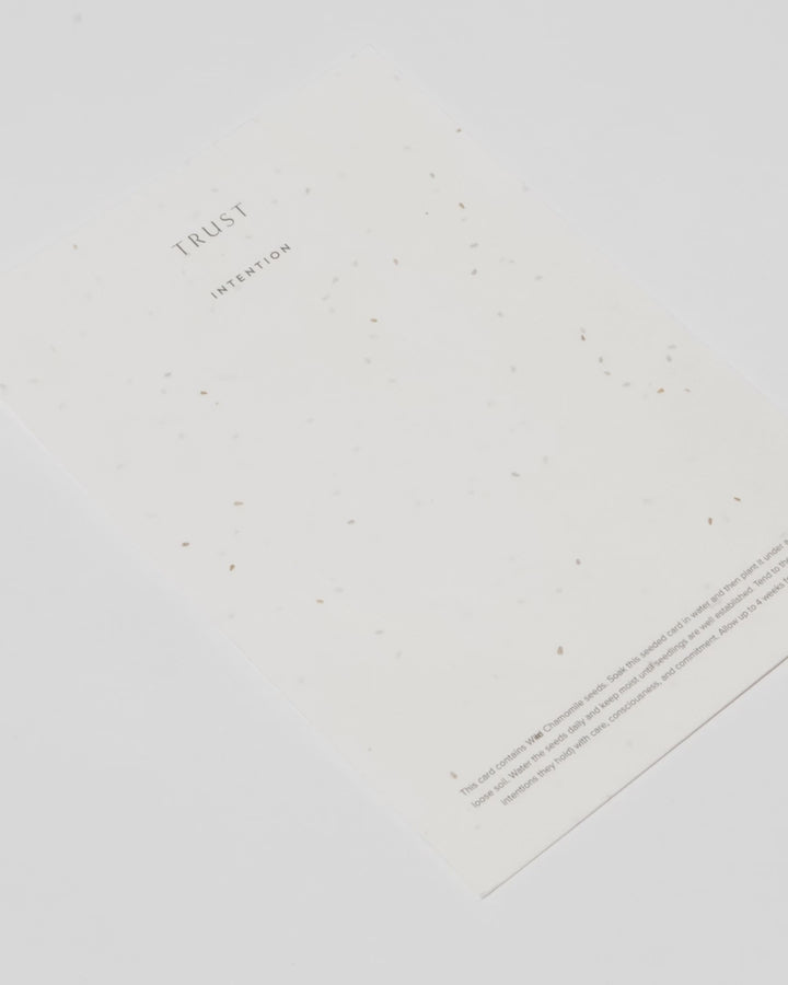 Connect & Nourish Bundle